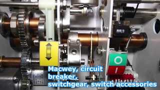 Macwey's Company  Introduction Video